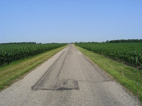 cornfield.jpg